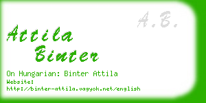 attila binter business card